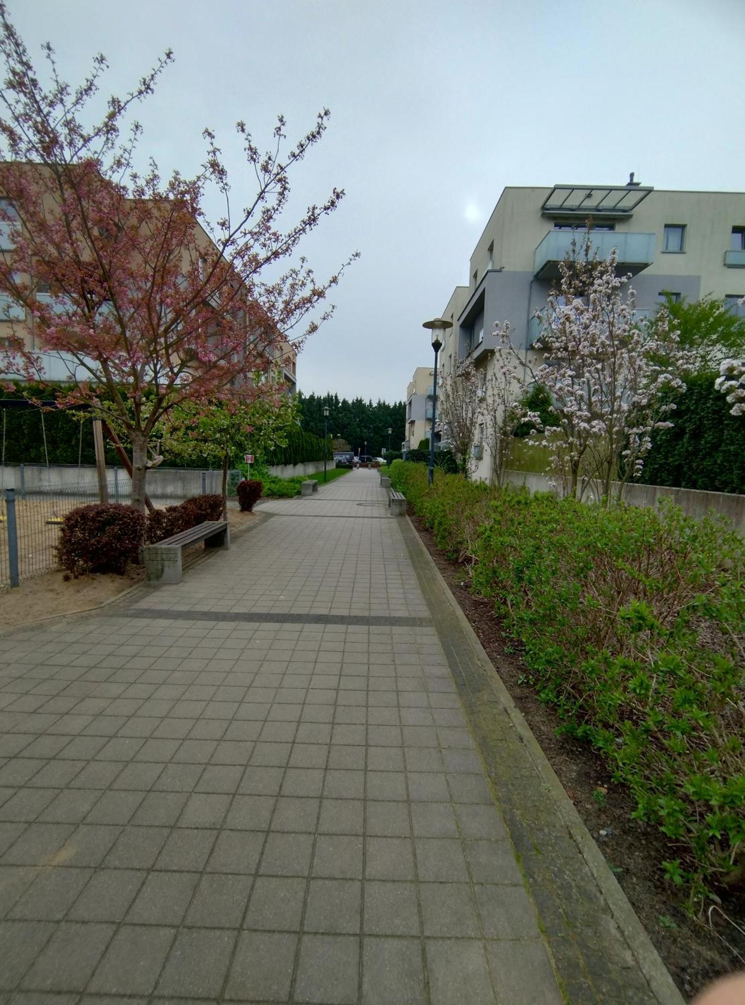 Apartament 1E Barbakan Szczecin Bagian luar foto